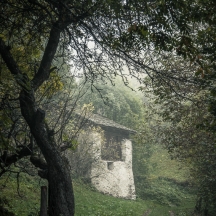 Bergell_2014_10-1095