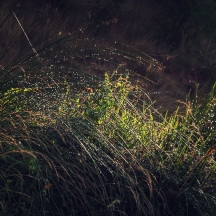 5d_2013_09c-1132